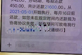 沂南为什么选择专业追讨公司来处理您的债务纠纷？